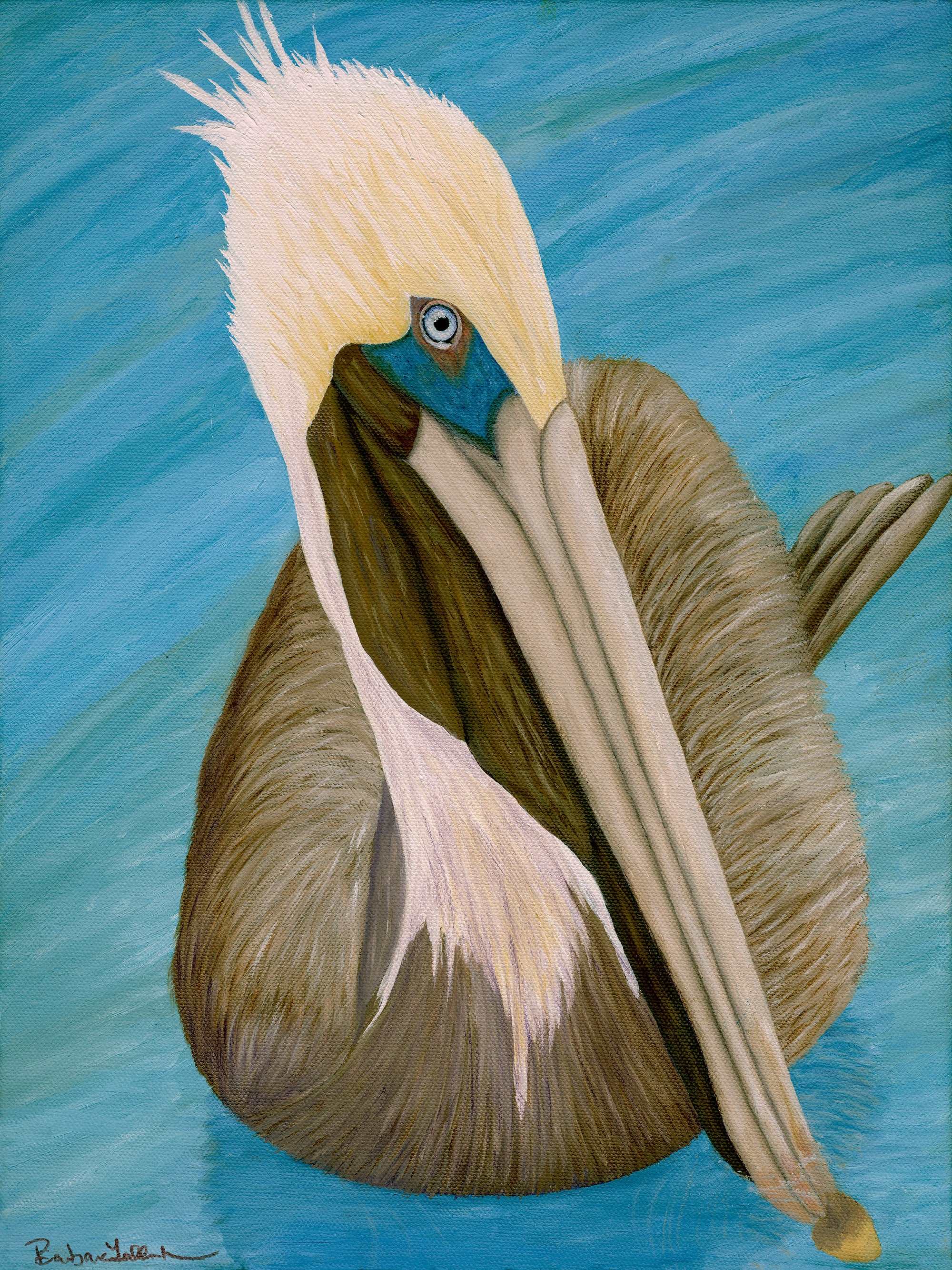 Pylican Pelican Art